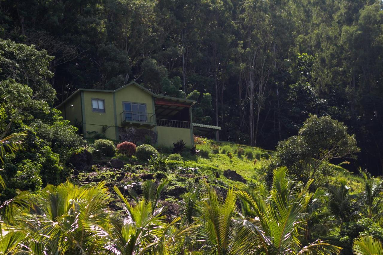 The Green Shack Quatre Soeurs Extérieur photo