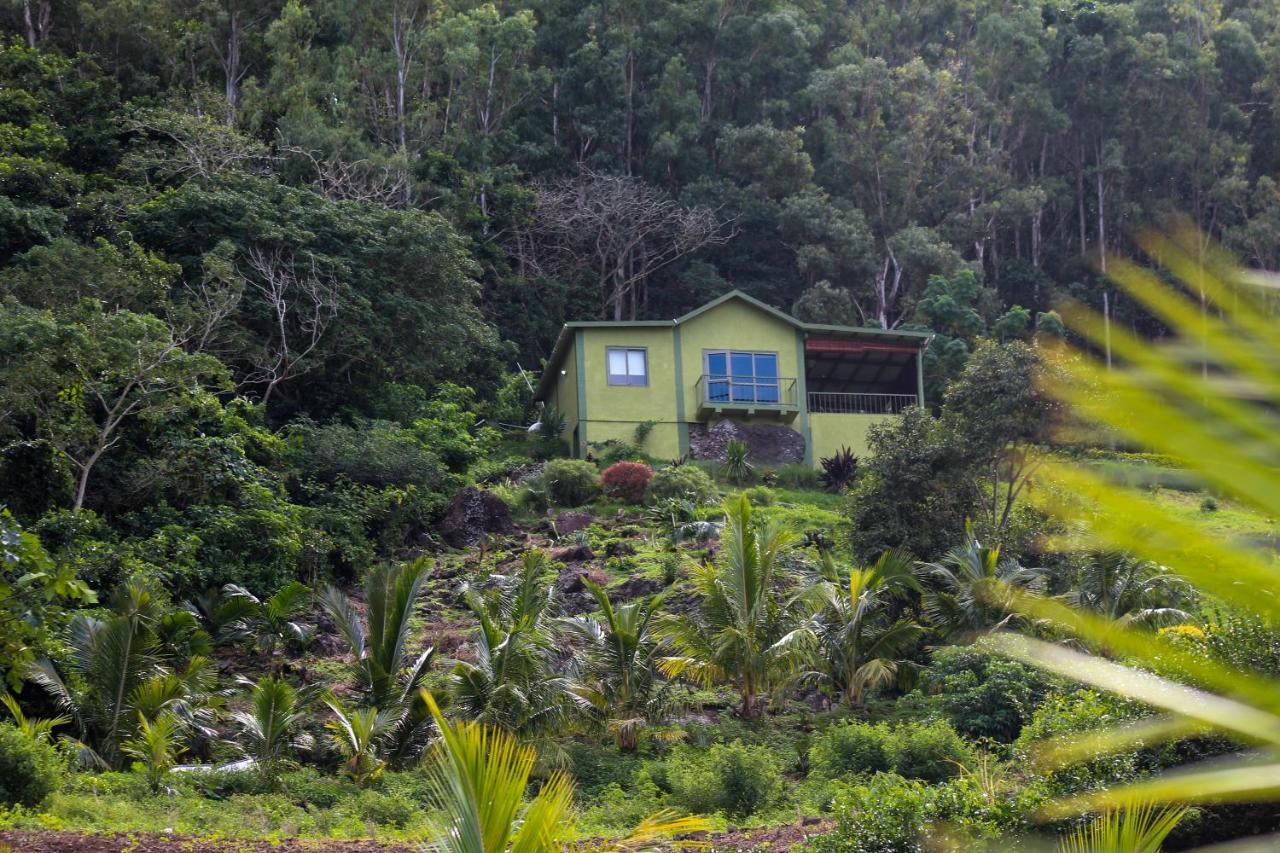 The Green Shack Quatre Soeurs Extérieur photo